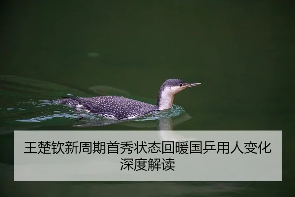 王楚钦新周期首秀状态回暖国乒用人变化深度解读